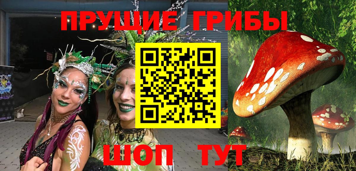 Псилоцибиновые грибы Magic Shrooms  где купить наркоту  Красноярск  Вход с VPN 