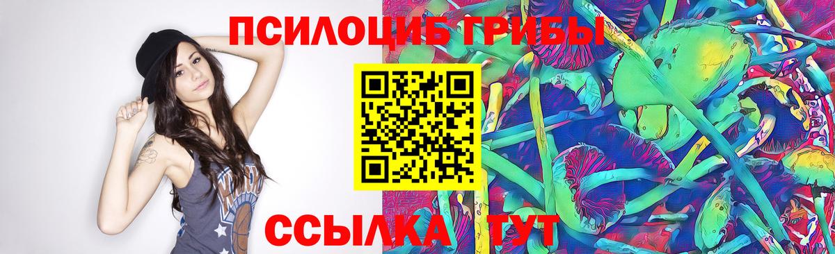 Галлюциногенные грибы Psilocybe Красноярск