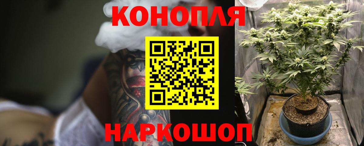 Бошки Шишки White Widow  МАРИХУАНА тримм  Красноярск  Вход с VPN  Марихуана Ganja 